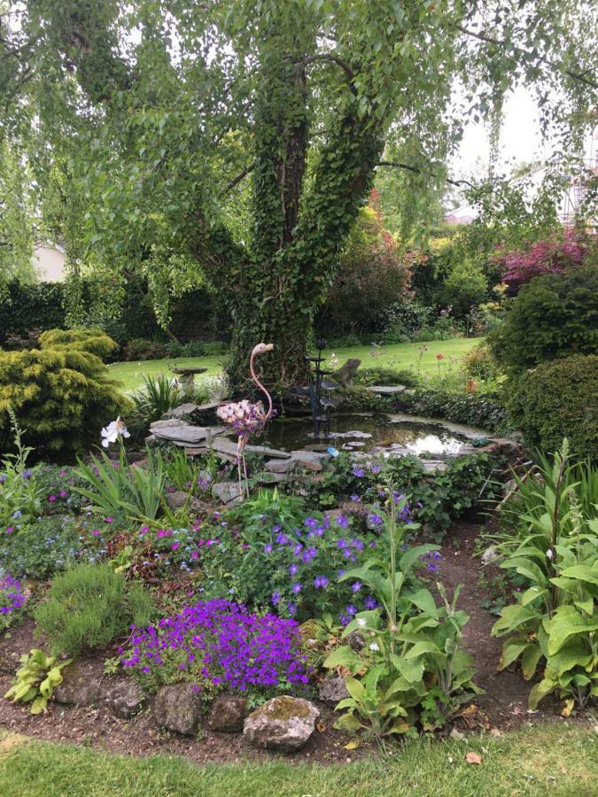 Cookshayes Country Guest House Moretonhampstead Eksteriør billede